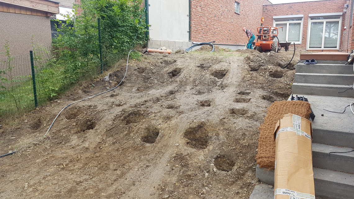 Výsadba záhonu Plzeň Výsadba záhonu Plzeň
