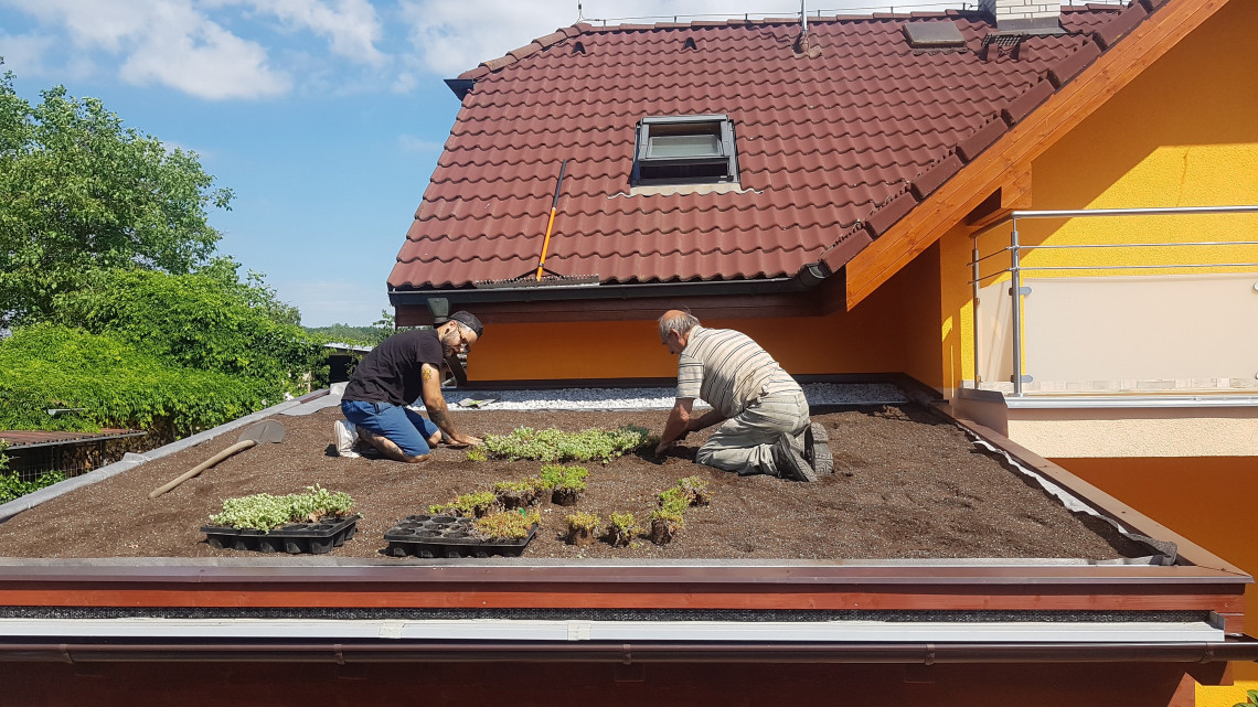 Zelená střecha Líně Zelená střecha Líně