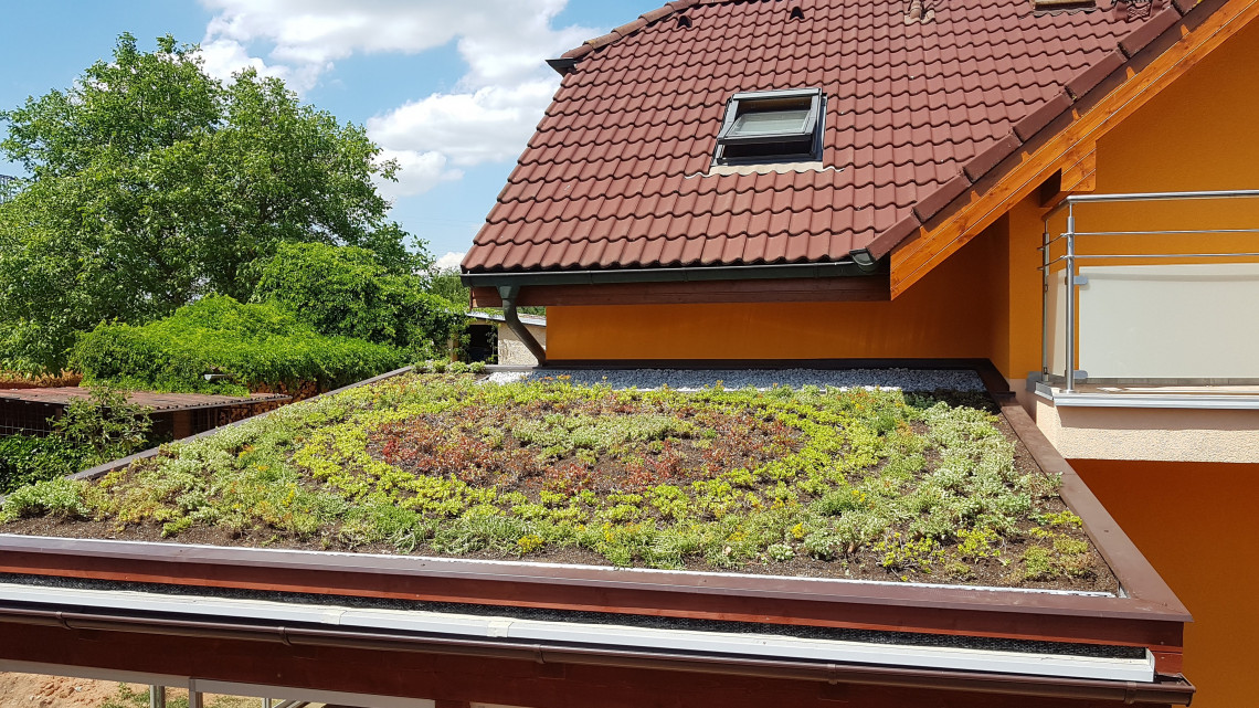 Zelená střecha Líně Zelená střecha Líně